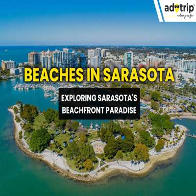 Beaches in Sarasota Exploring Sarasota's Beachfront Paradise master image